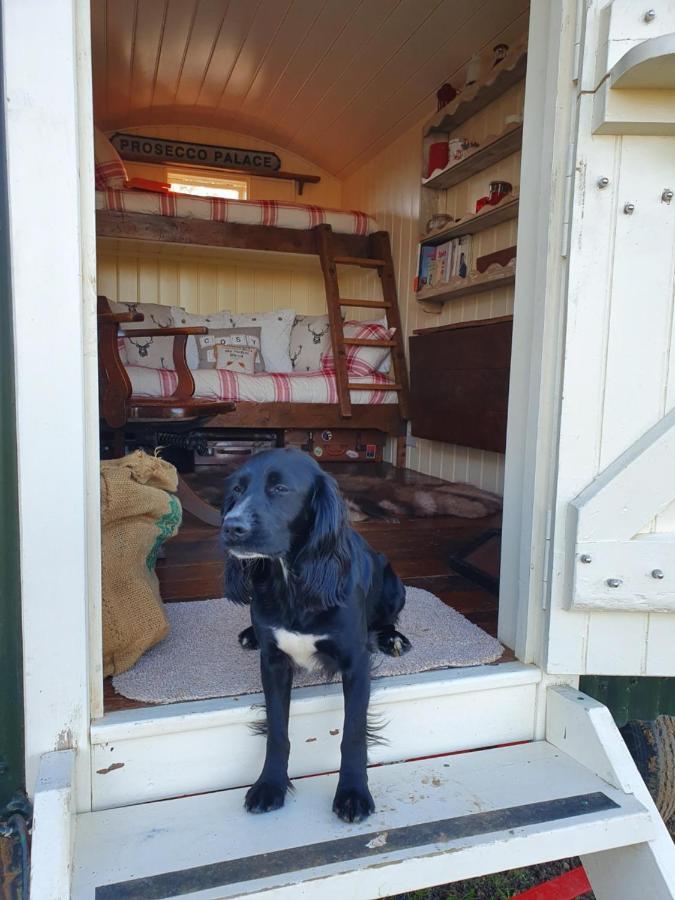 The Delkin Shepherds Huts キャッスル・クーム エクステリア 写真